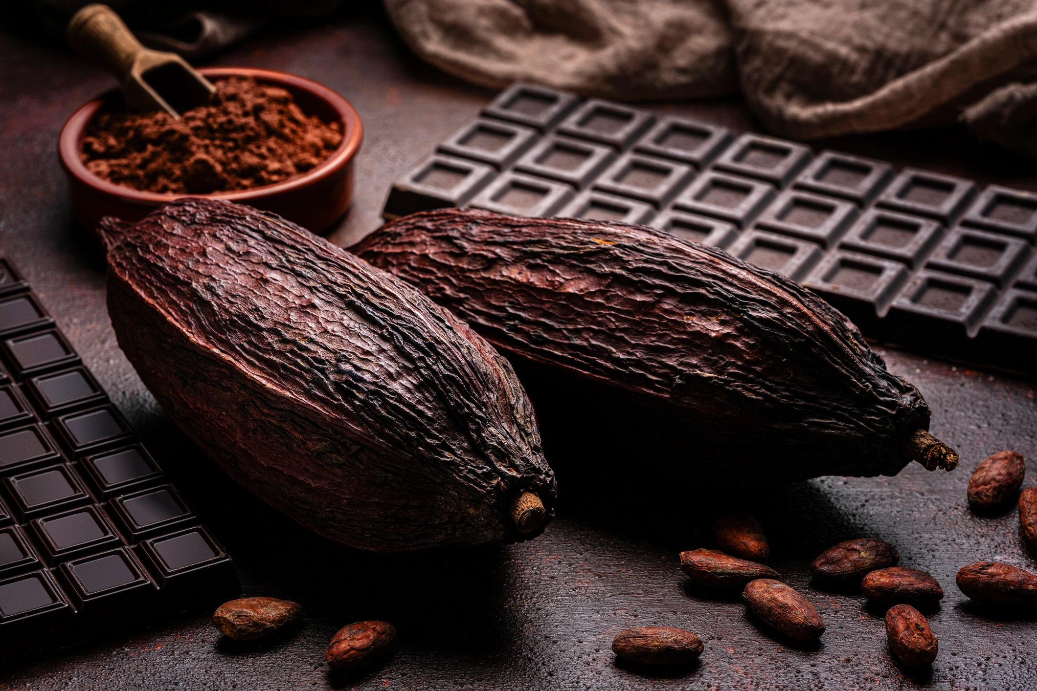 Cocoa pods, beans, cocoa powder, and dark chocolate